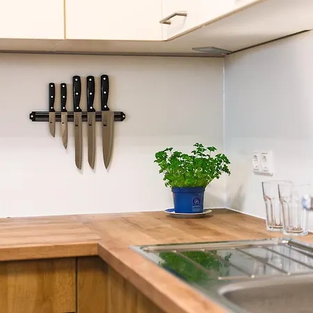 Wunderschoenes Im Zentrum Von 아파트 *