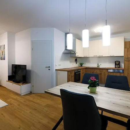 Wunderschoenes Im Zentrum Von Daire Wels