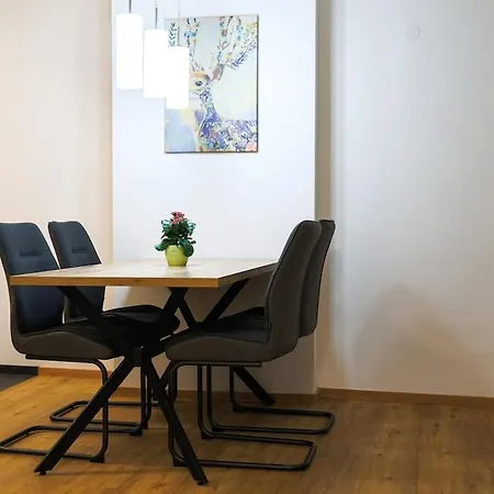 Wunderschoenes Im Zentrum Von Daire Wels