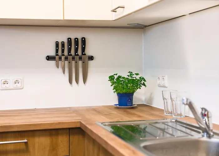 Wunderschoenes Im Zentrum Von Daire *