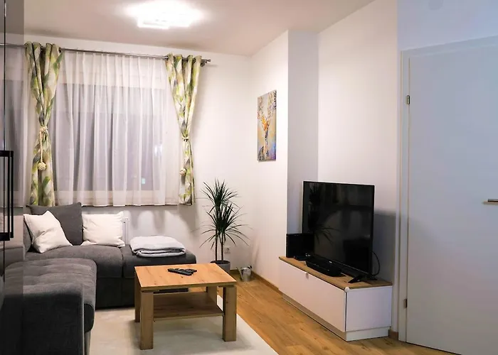 Wunderschoenes Im Zentrum Von Daire Wels