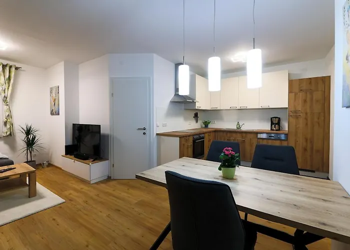 Wunderschoenes Im Zentrum Von Daire Wels